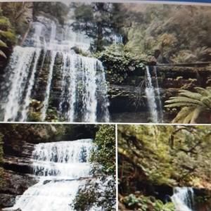 Meet your Posher, Robyn